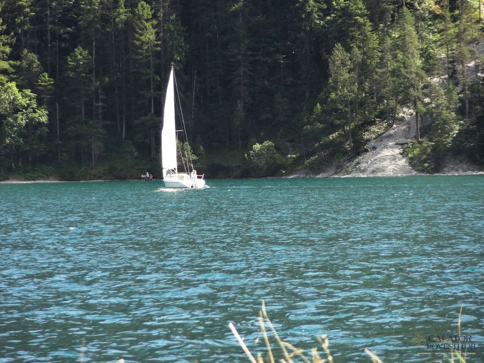 Plansee