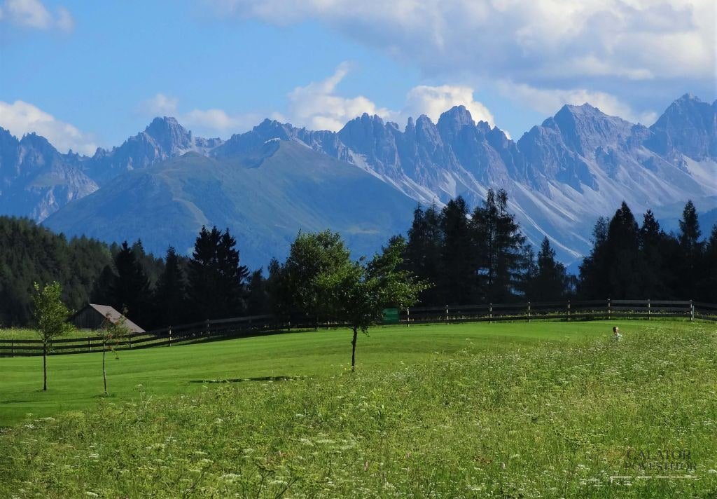Vacanța în Tirol