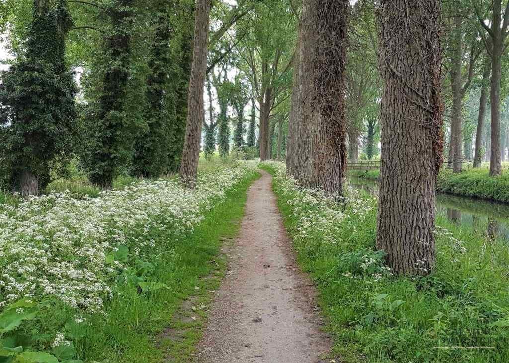 Ce să vizitezi în Belgia
