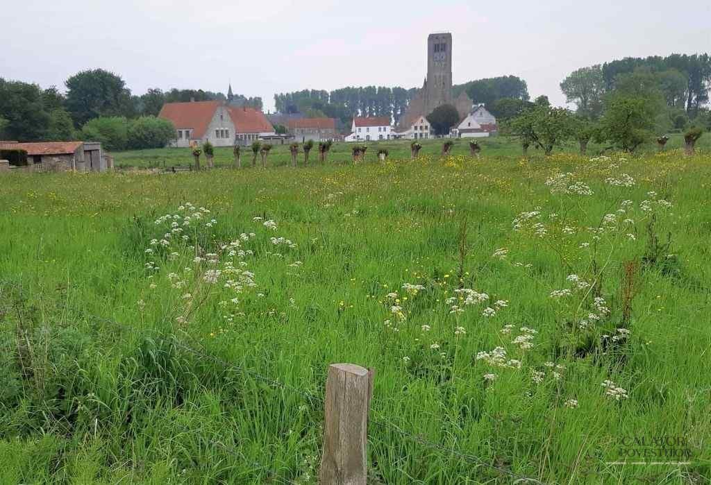 Damme