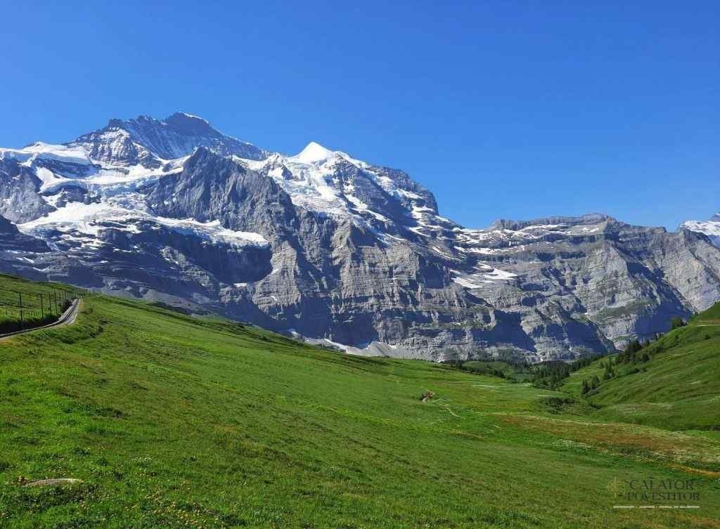 Călătorie montană cu trenul - Jungfraujoch