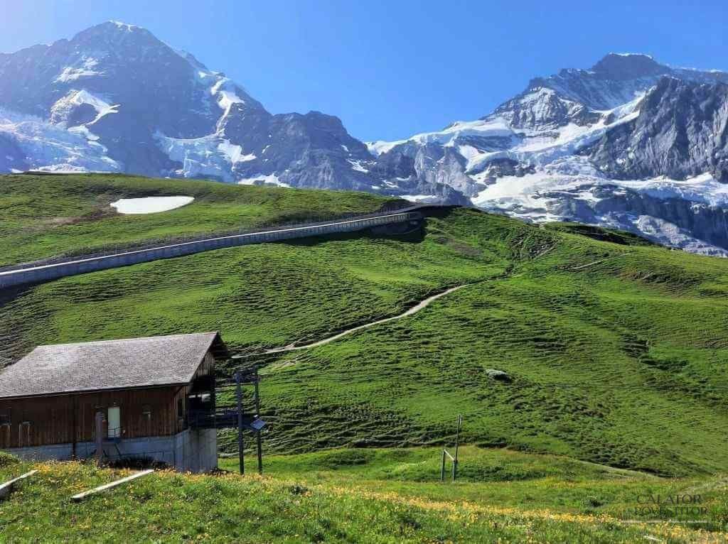 Călătorie montană cu trenul - Jungfraujoch