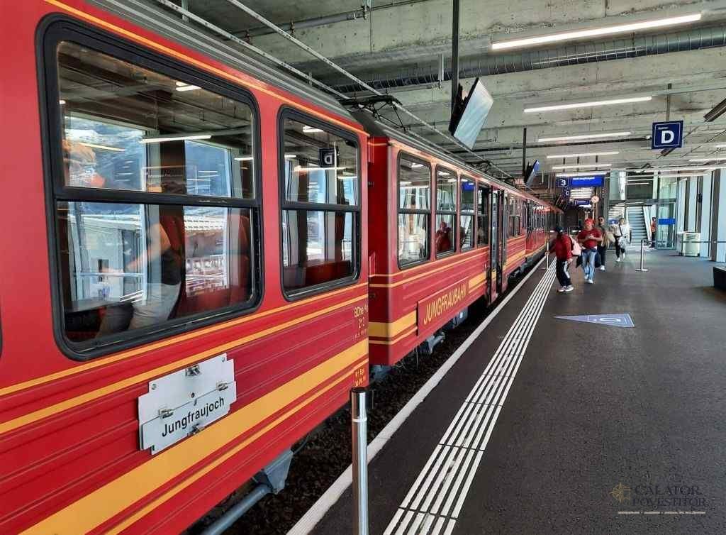 Călătorie montană cu trenul - Jungfraujoch