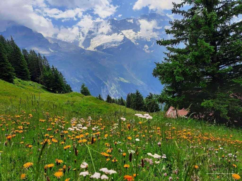Mürren