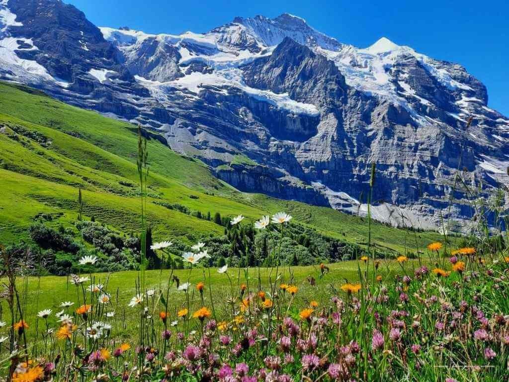 Cele mai frumoase trasee montane elvețiene