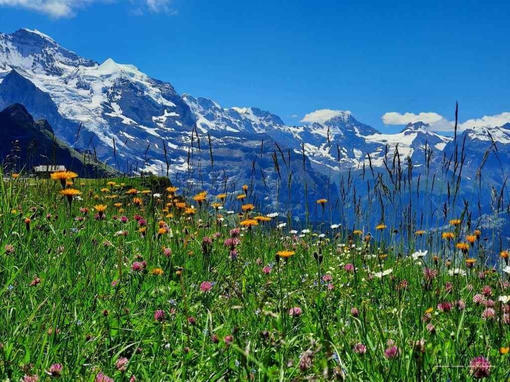 Cele mai frumoase trasee montane elvețiene