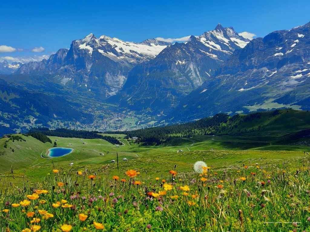 Cele mai frumoase trasee montane elvețiene