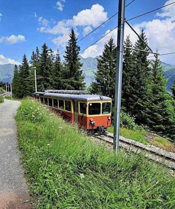 Elvetia – sfaturi de calatorie in regiunea Jungfrau — 30