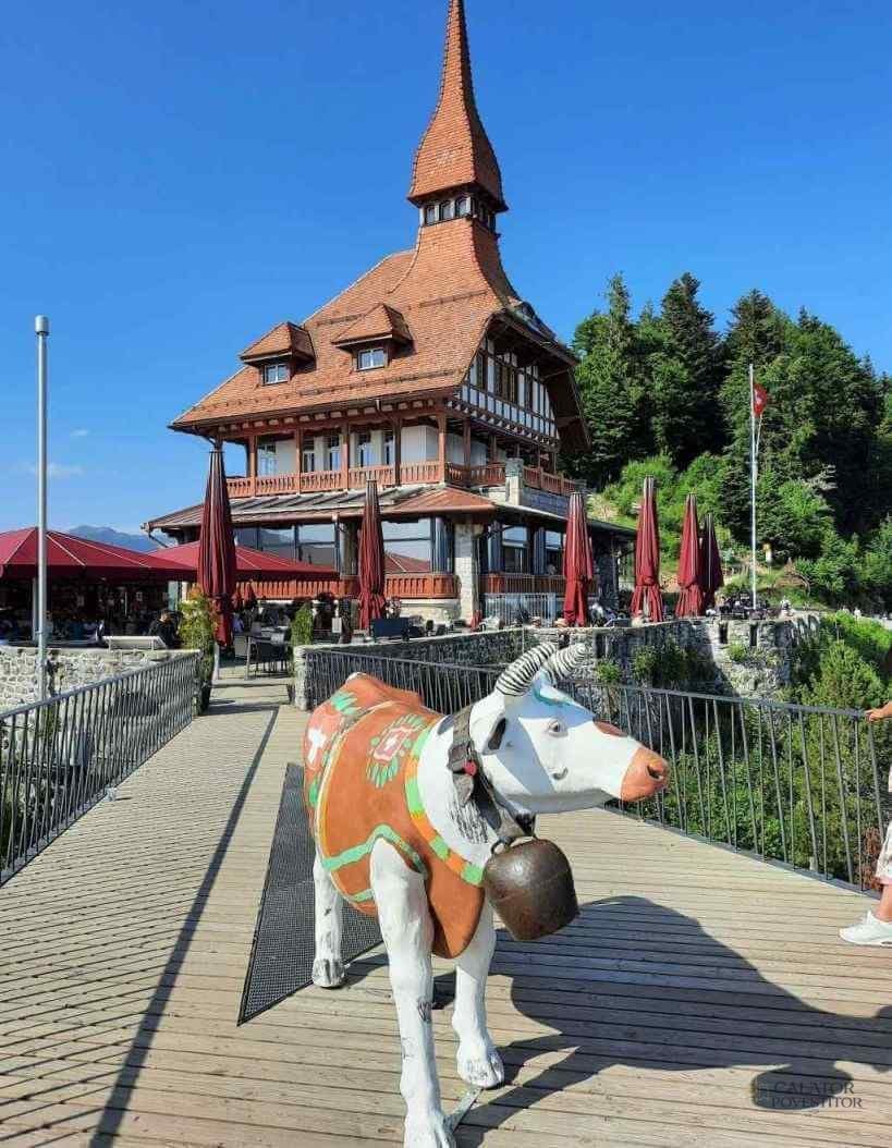 Interlaken - 5 destinatii incitante pe care sa le vizitezi in vacanta