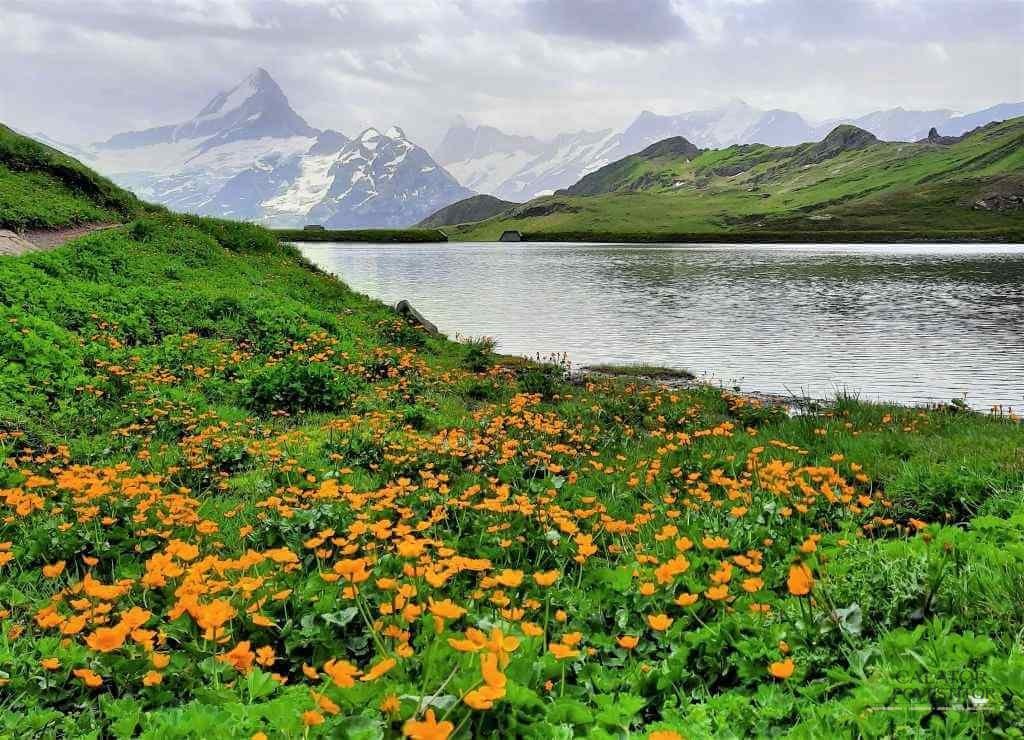 Bachalpsee