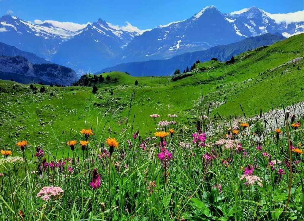 Obiective turistice atractive din regiunea Jungfrau