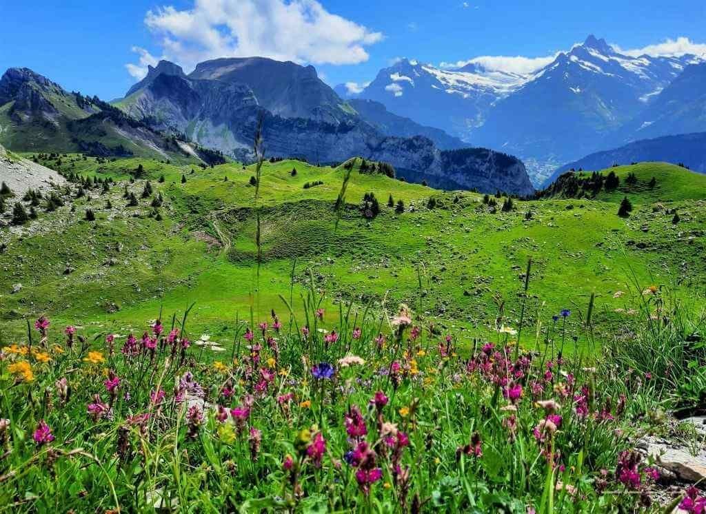 Obiective turistice atractive din regiunea Jungfrau