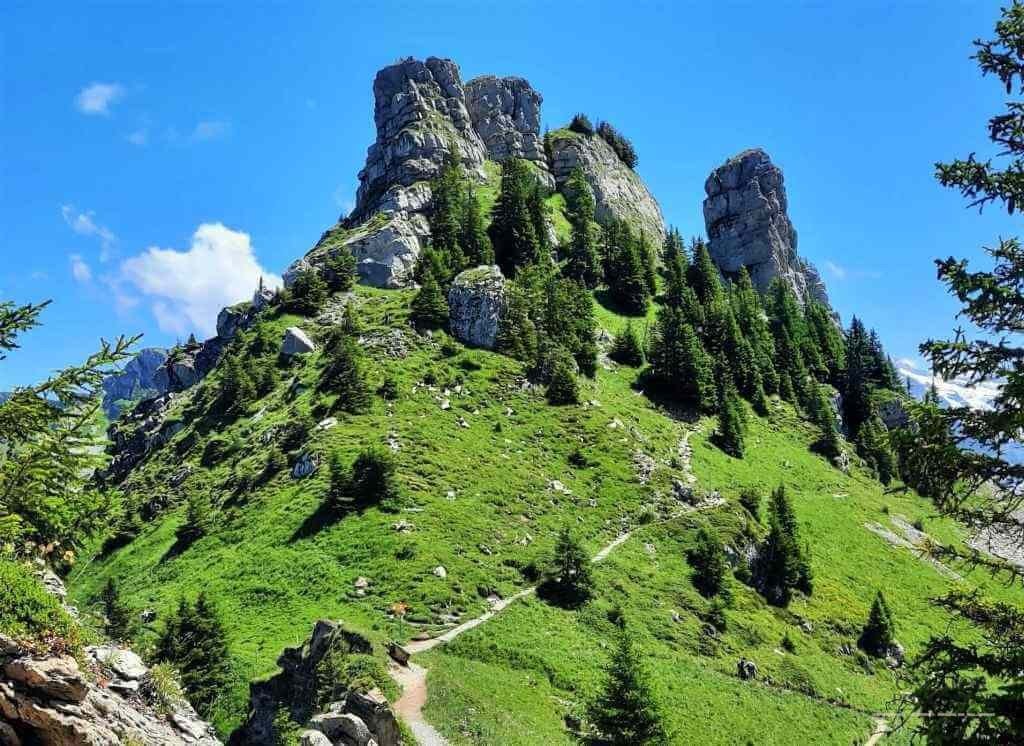 Schynige Platte