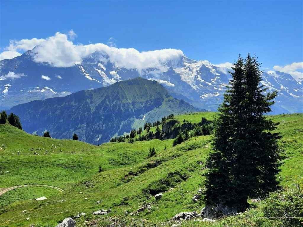 Schynige Platte