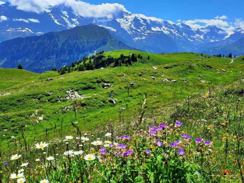 Obiective turistice atractive din regiunea Jungfrau