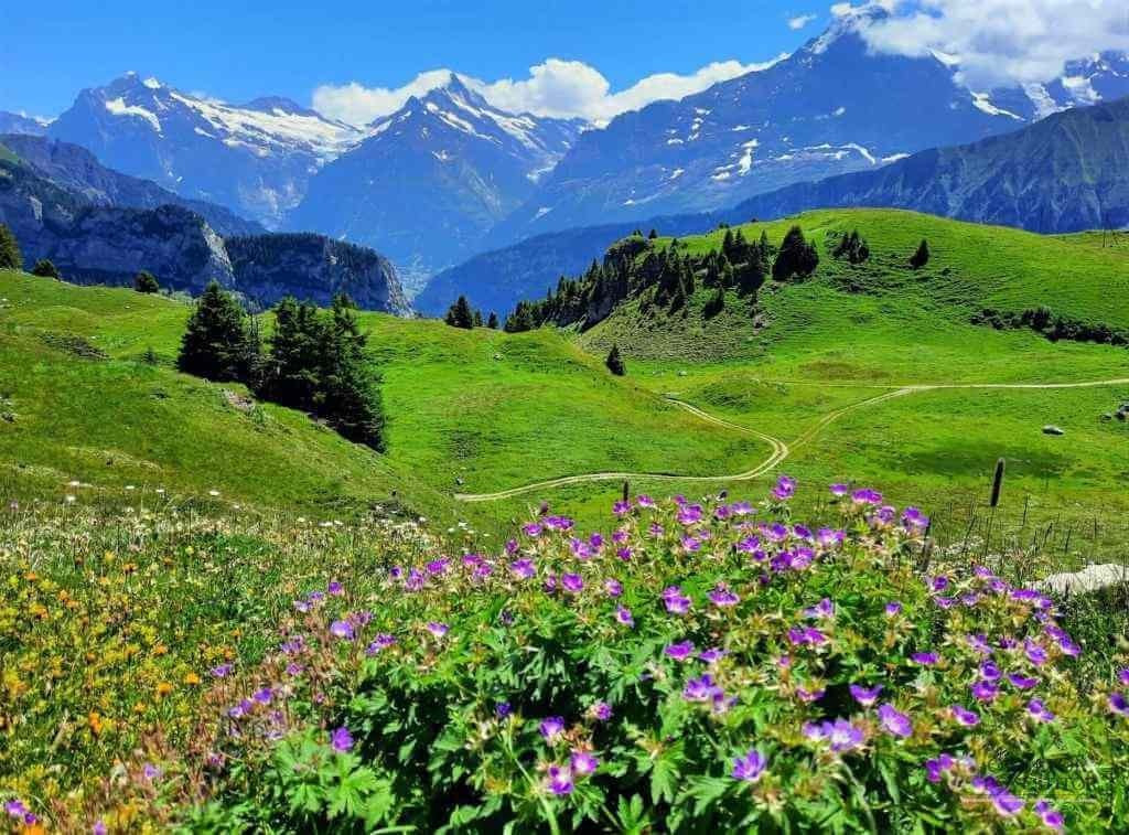 Obiective turistice atractive din regiunea Jungfrau