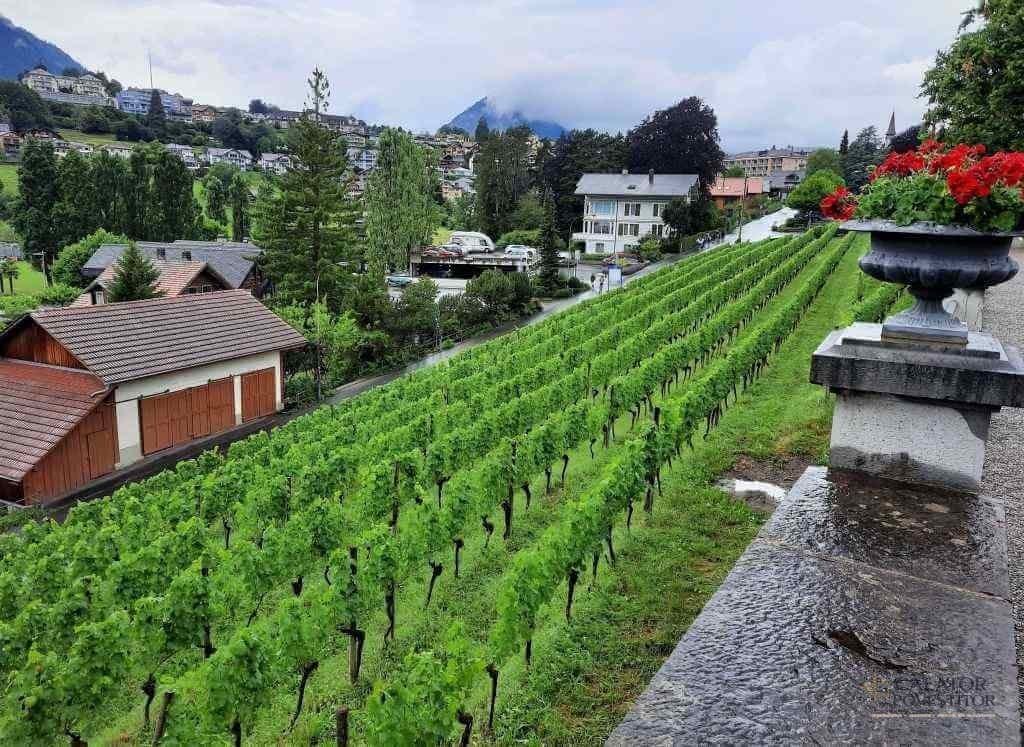 Spiez