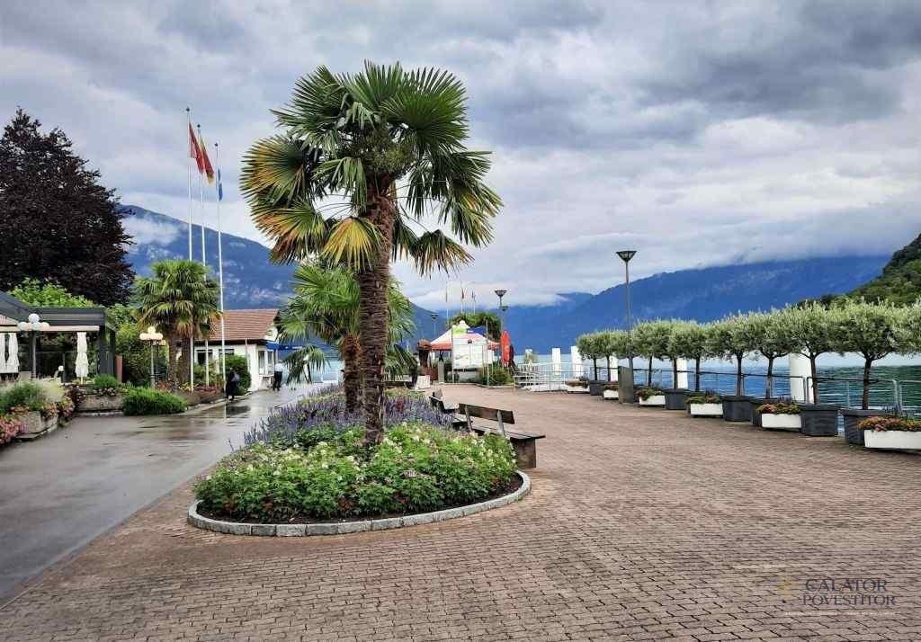 Spiez