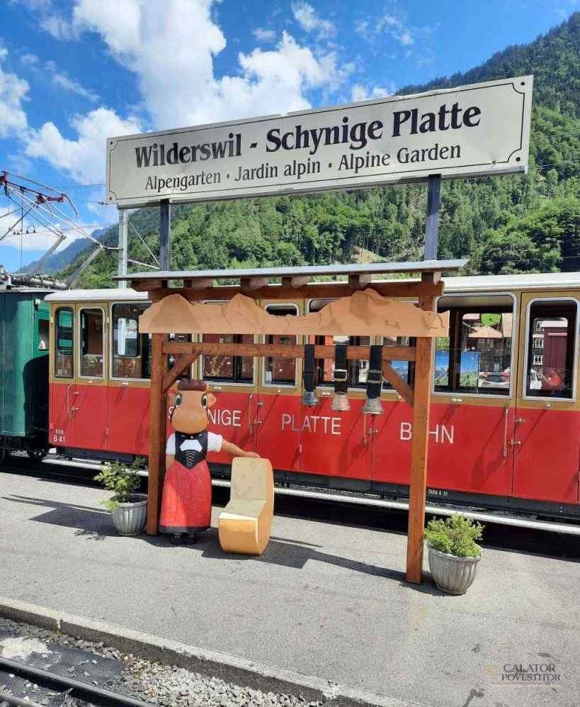 Wilderswil