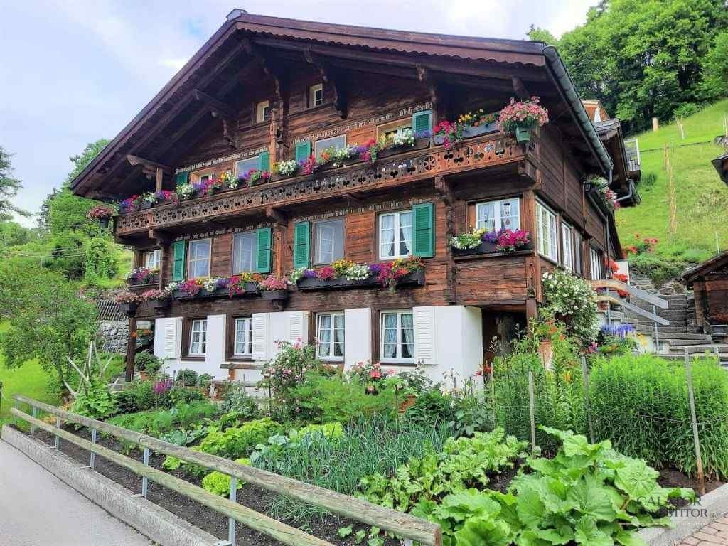 Wengen – stațiune montană de top