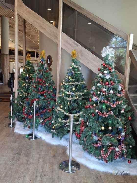 Santa Claus Village - Rovaniemi