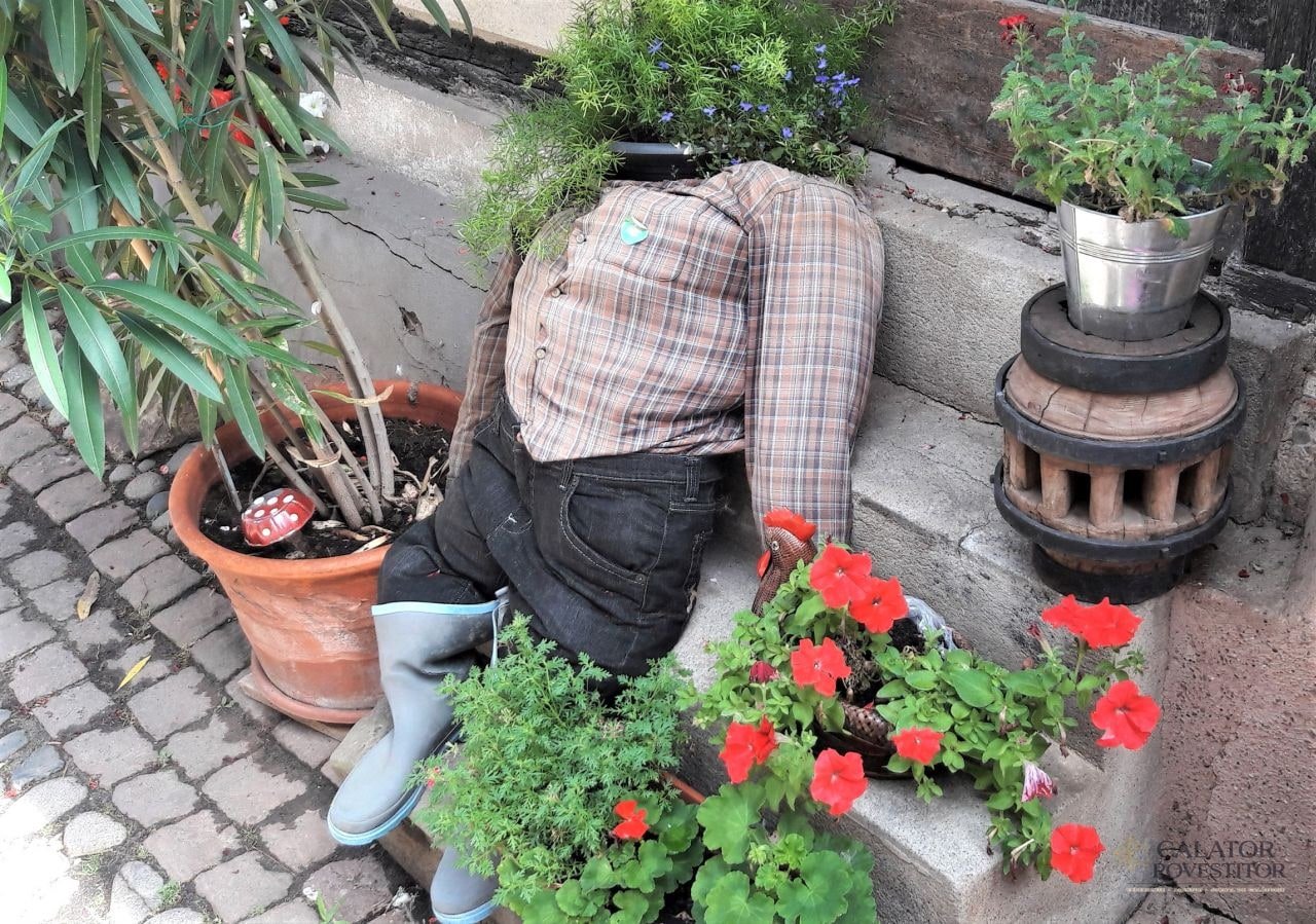 Cele mai frumoase sate din Alsacia - Eguisheim