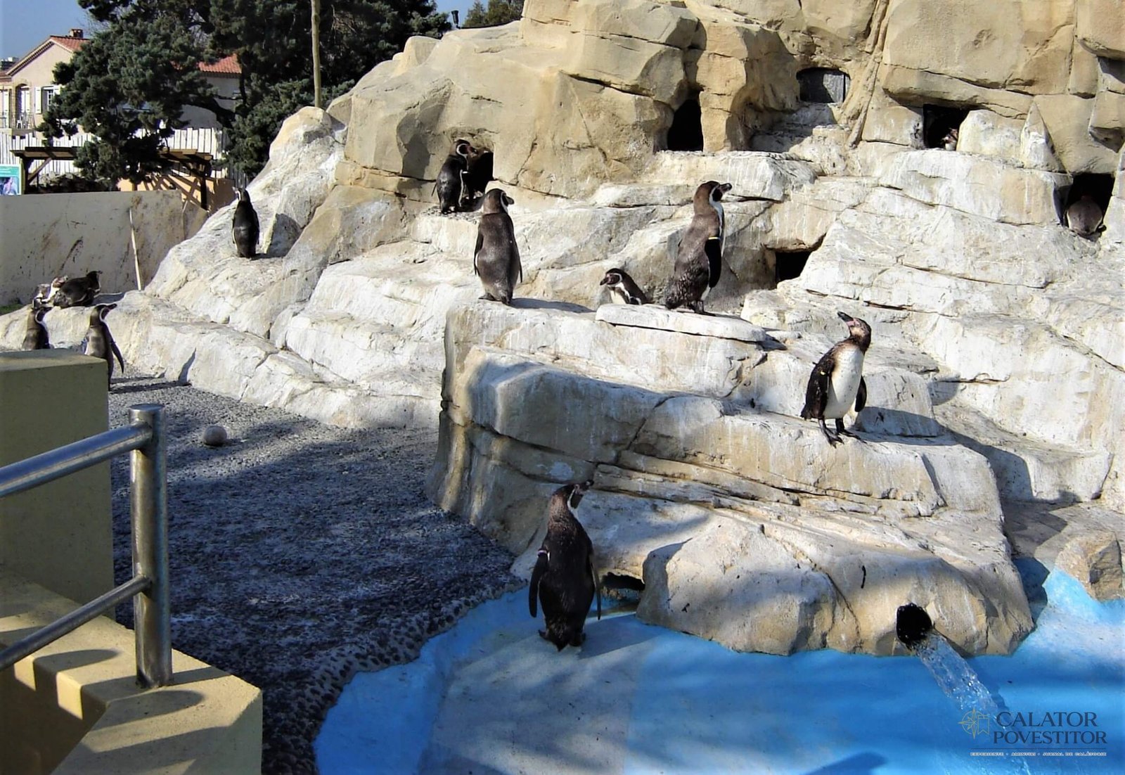 Marineland