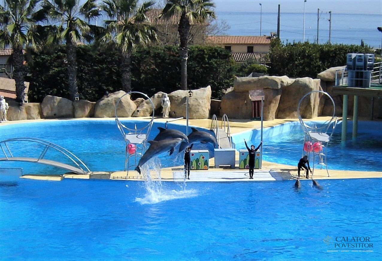 delfini Marineland