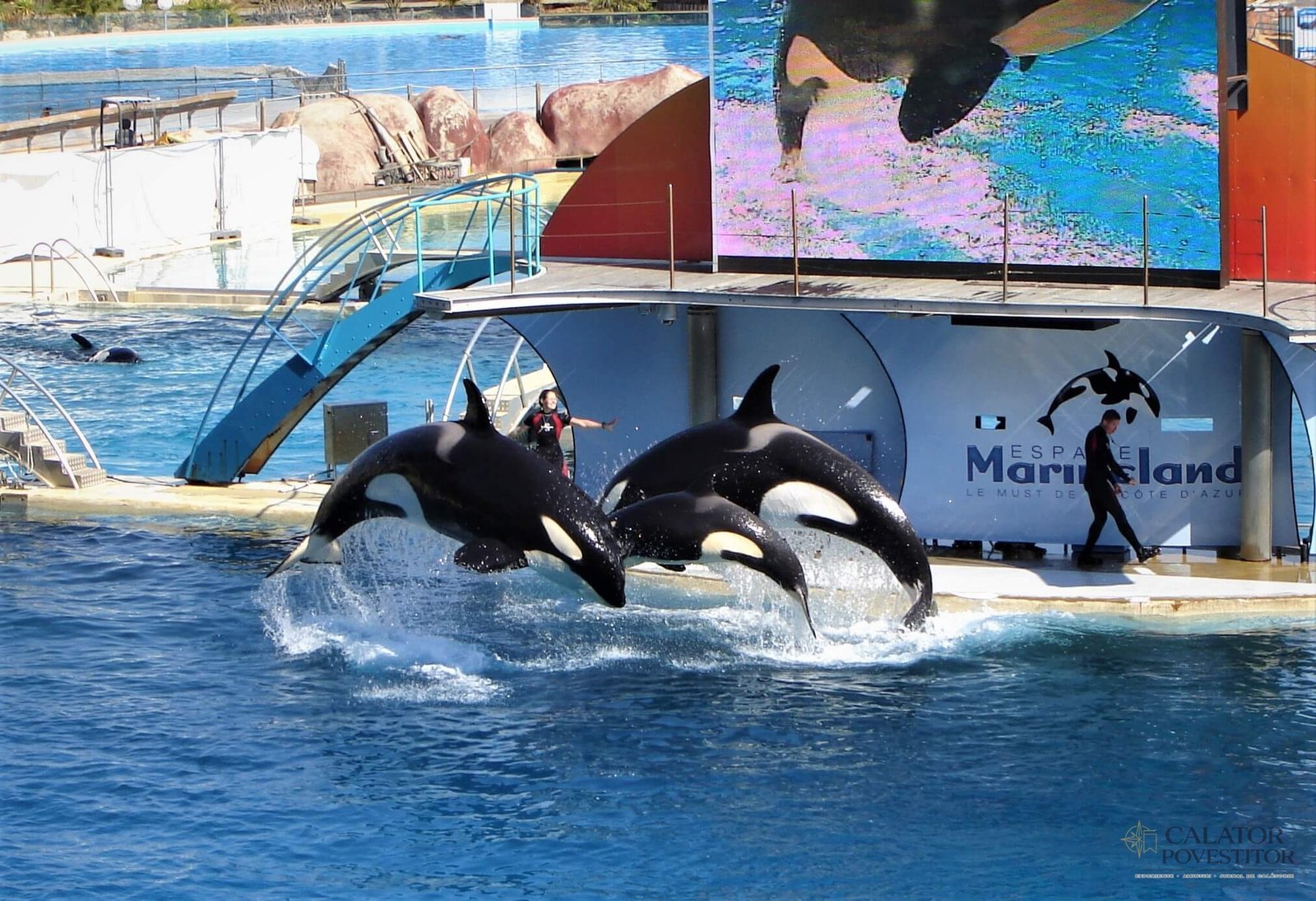 Orci Marineland