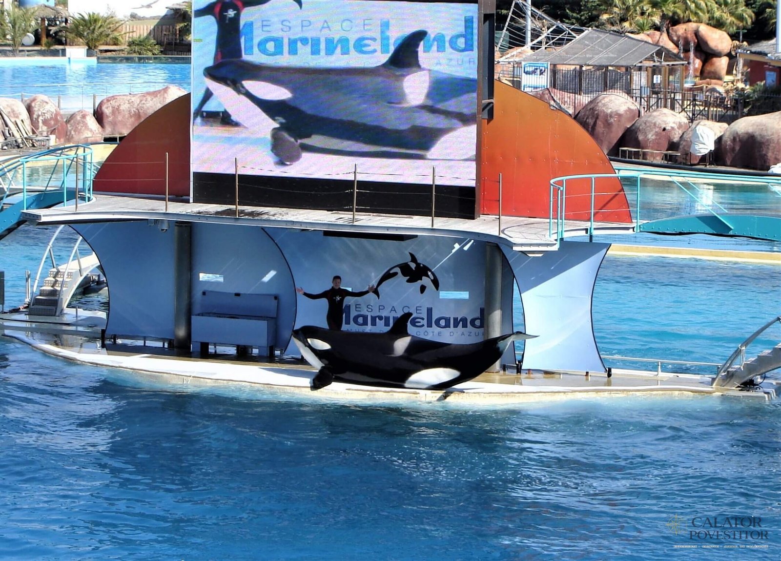 Orci Marineland