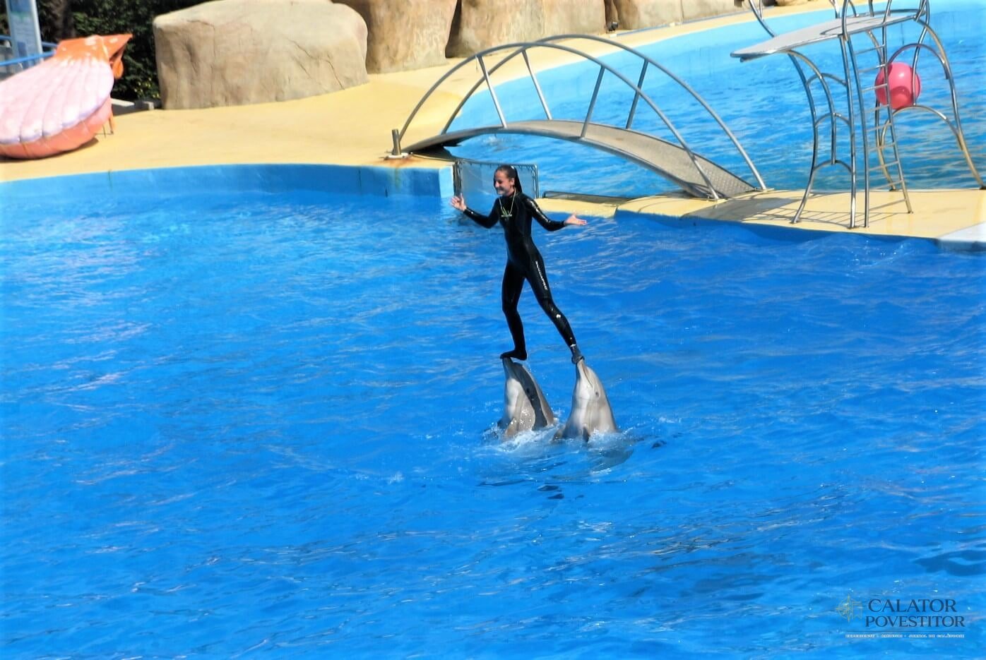 Delfini Marineland