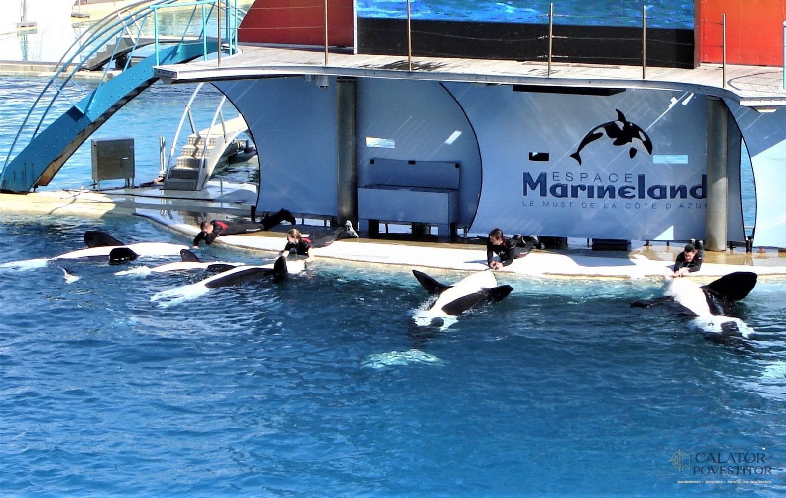 Orci Marineland