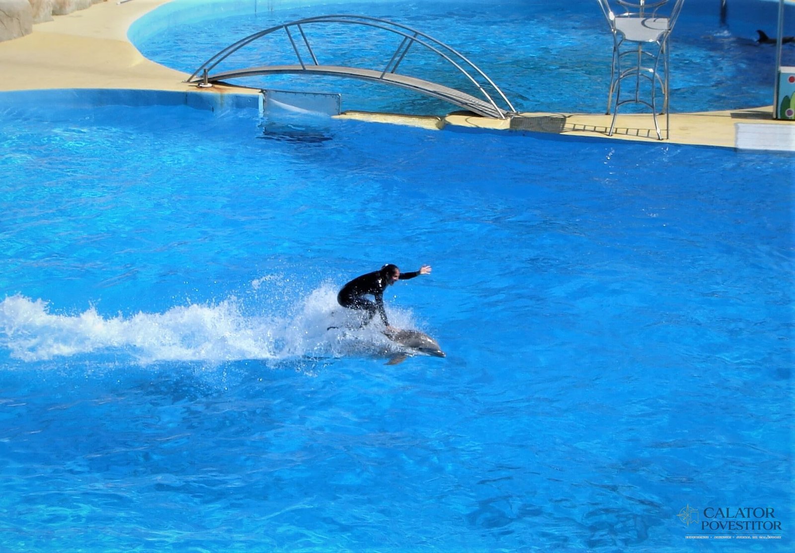 Delfini Marineland