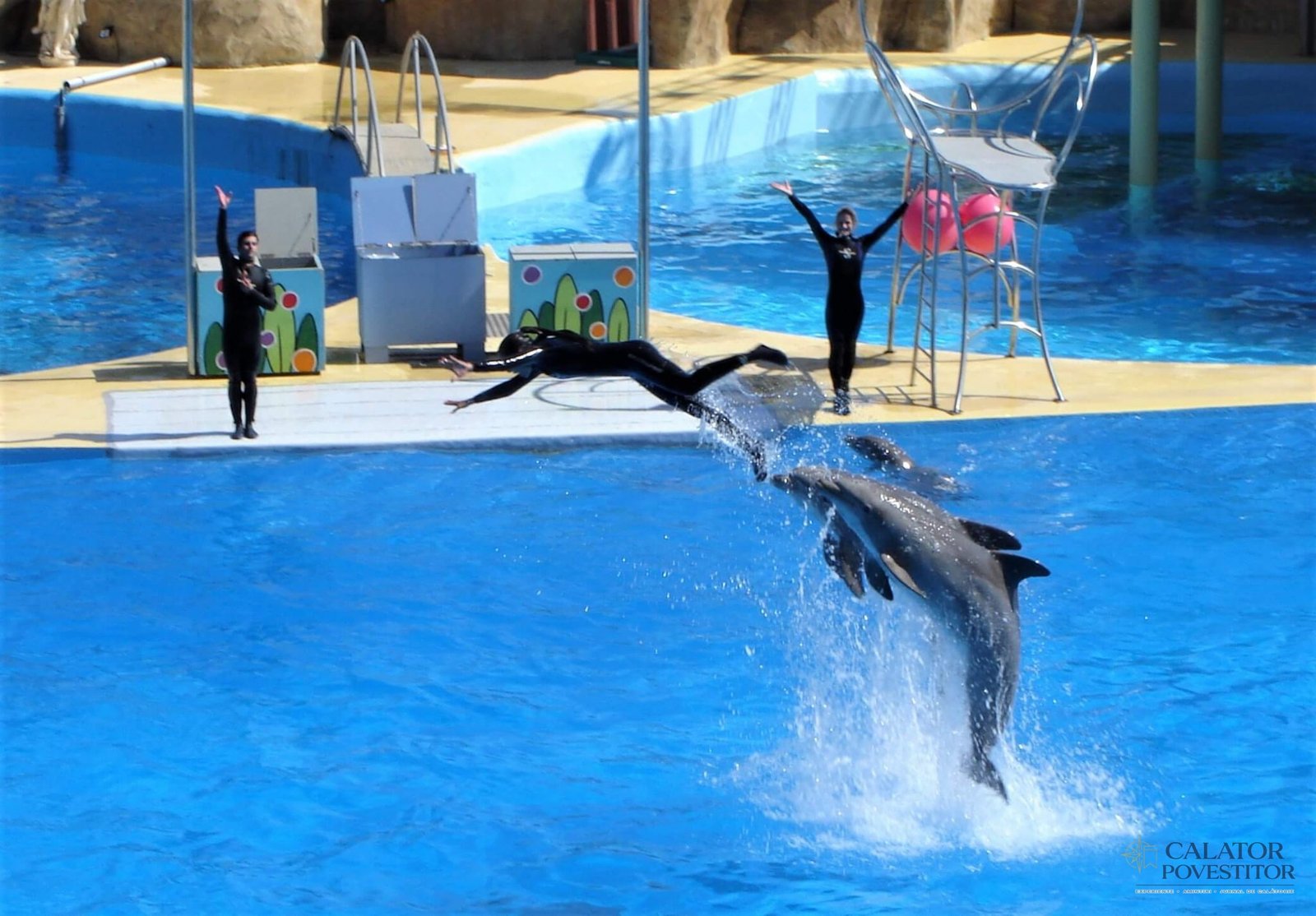 Delfini Marineland
