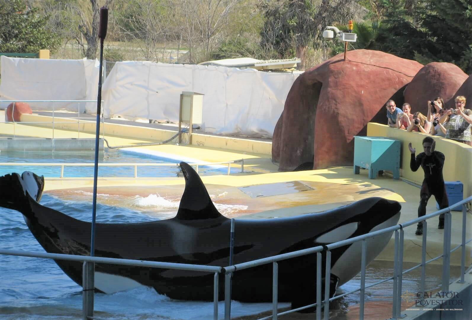 Orci Marineland
