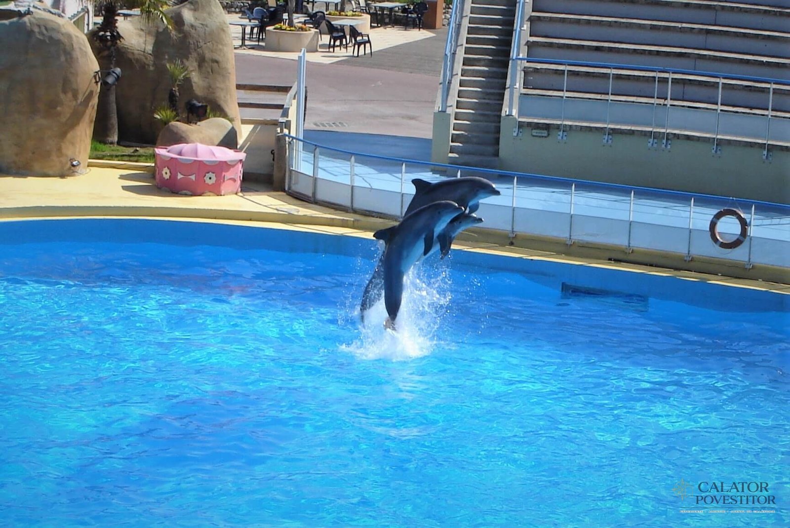 Delfini Marineland