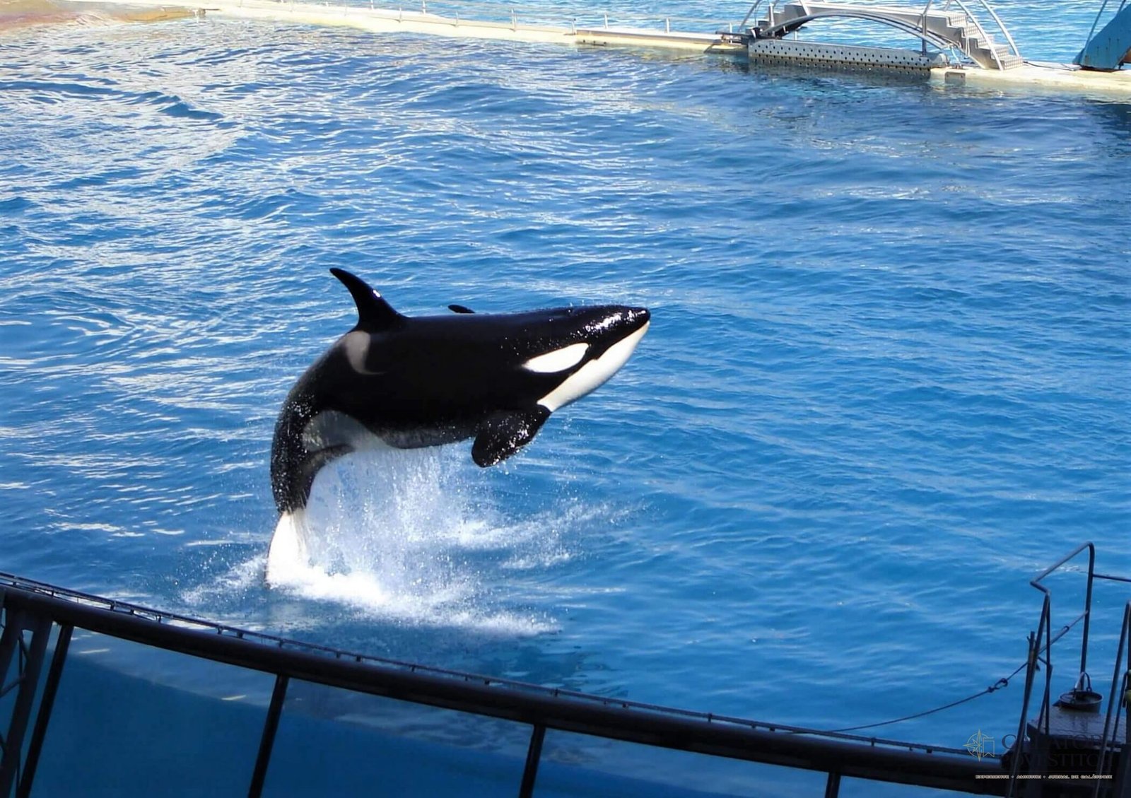 Parcul acvatic Marineland