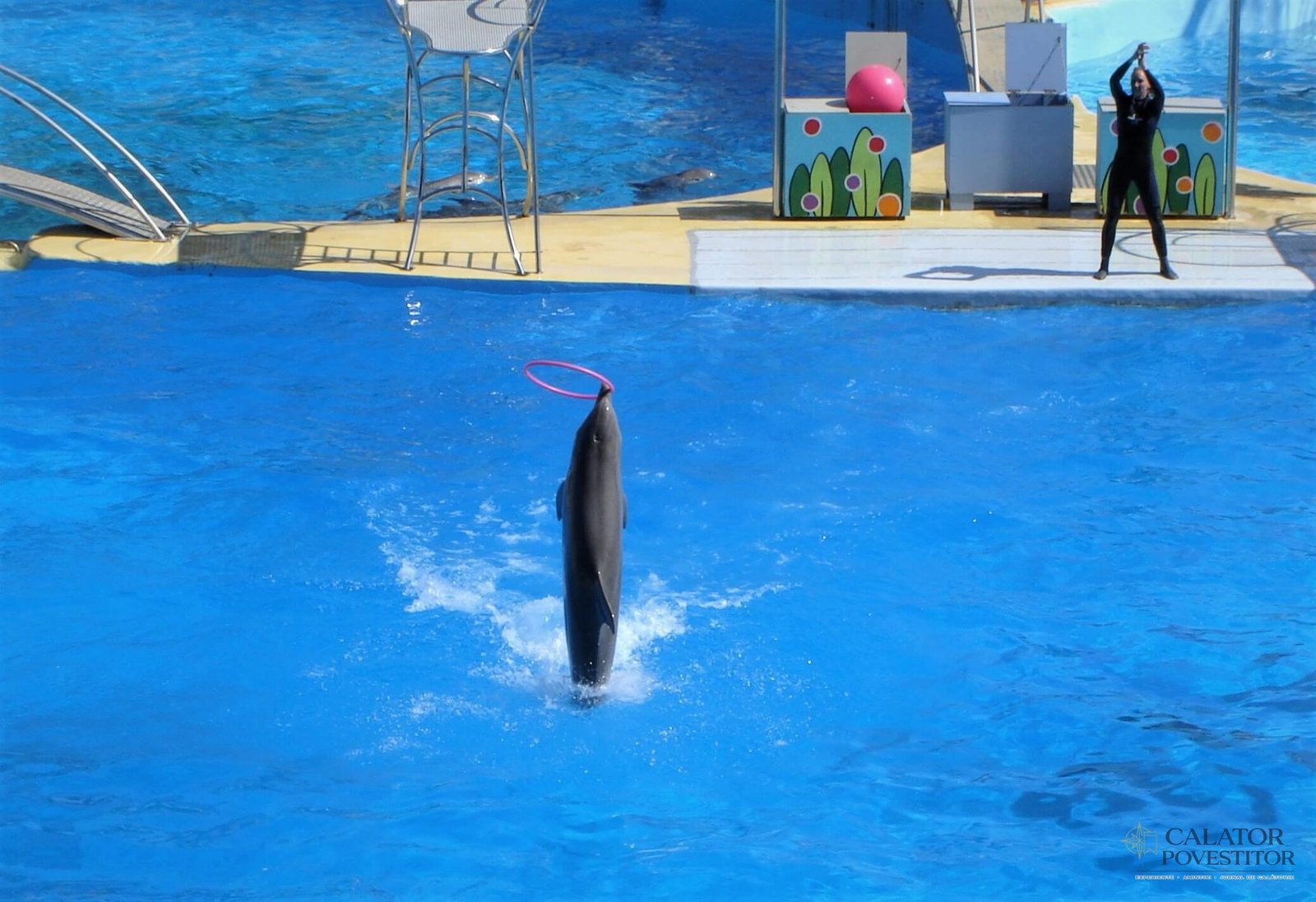 Marineland