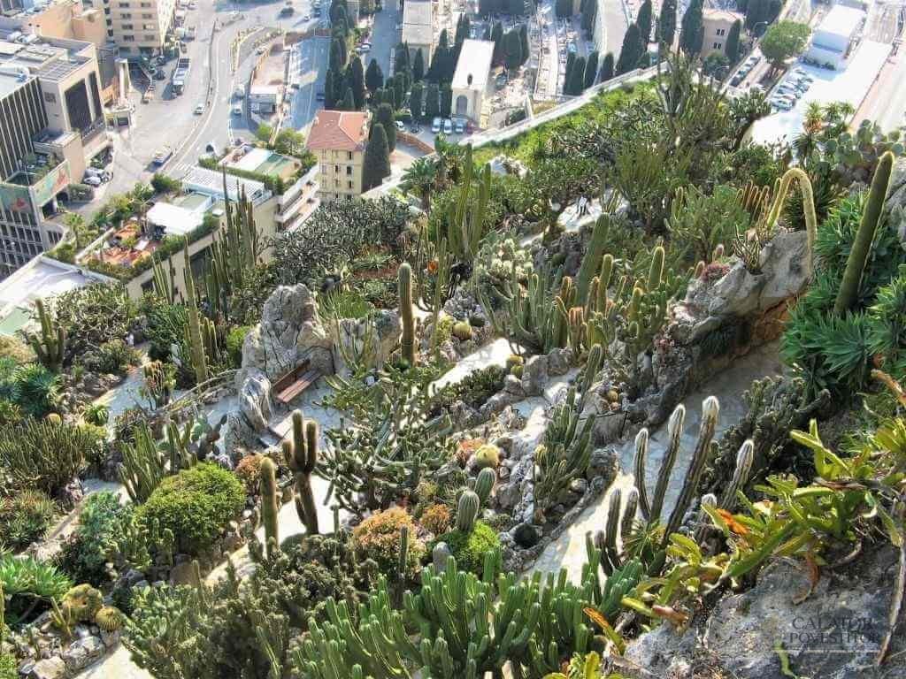 Vacanta Coasta de Azur – top 5 locatii — 40