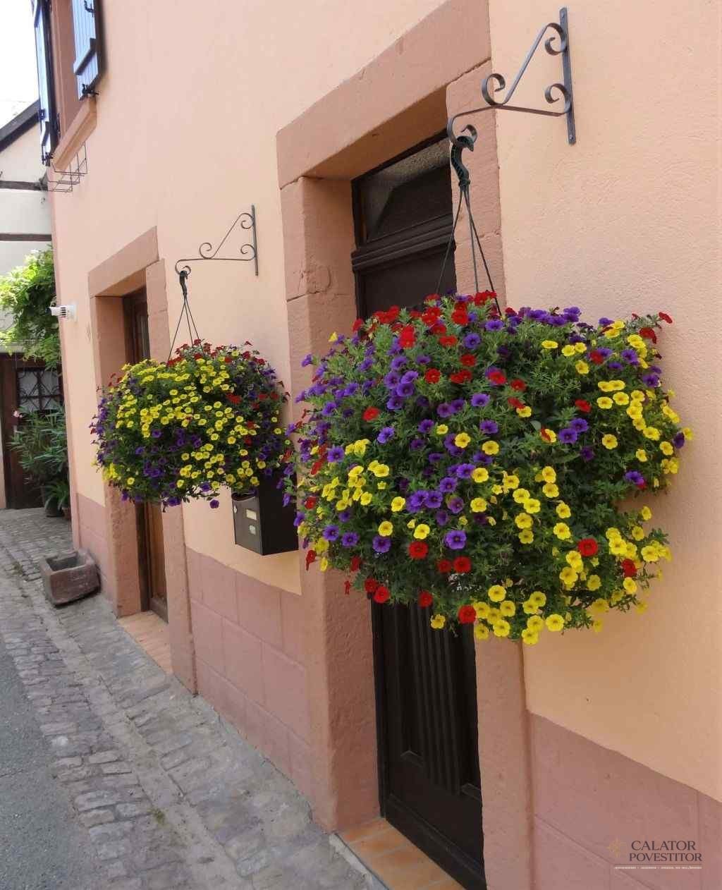Ribeauville