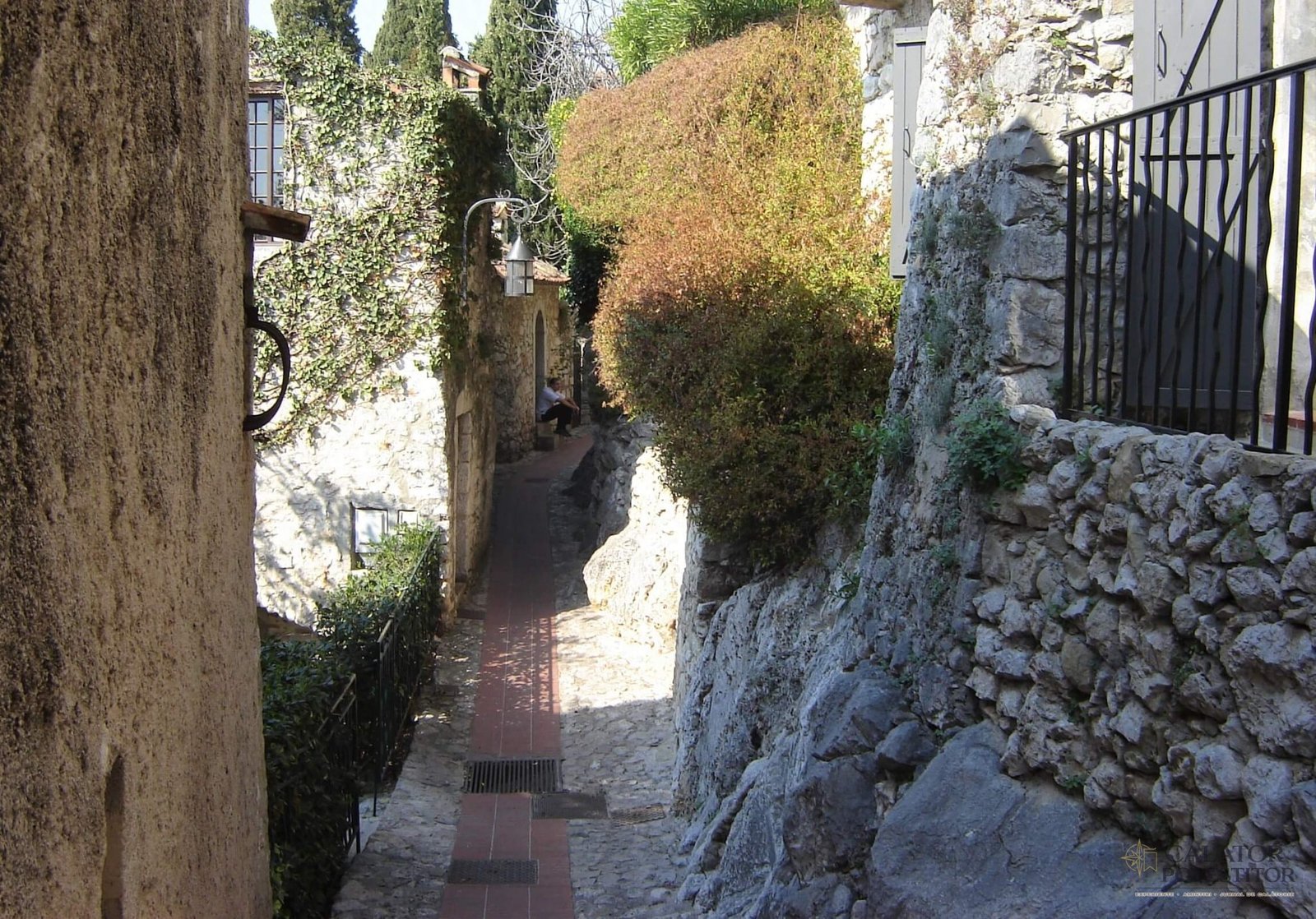 Vacanta la Nisa