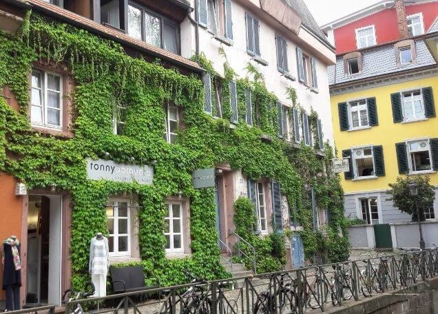 Freiburg,o bijuterie germana in Muntii Padurea Neagra — 13