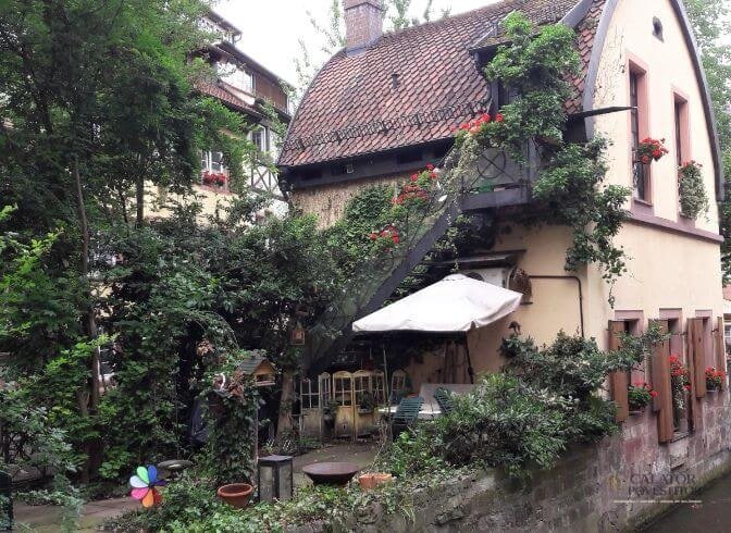 Freiburg,o bijuterie germana in Muntii Padurea Neagra — 15