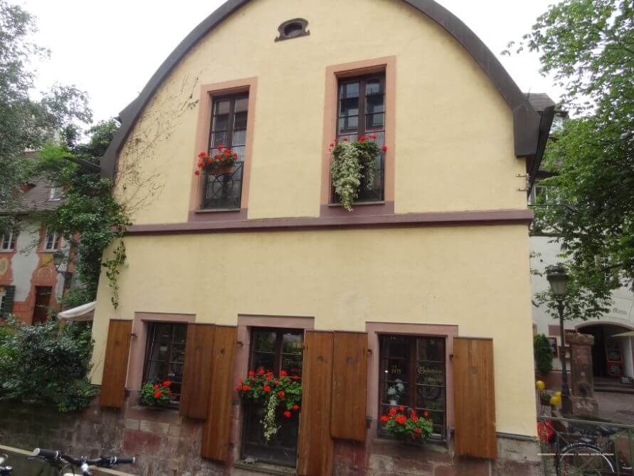 Freiburg,o bijuterie germana in Muntii Padurea Neagra — 17