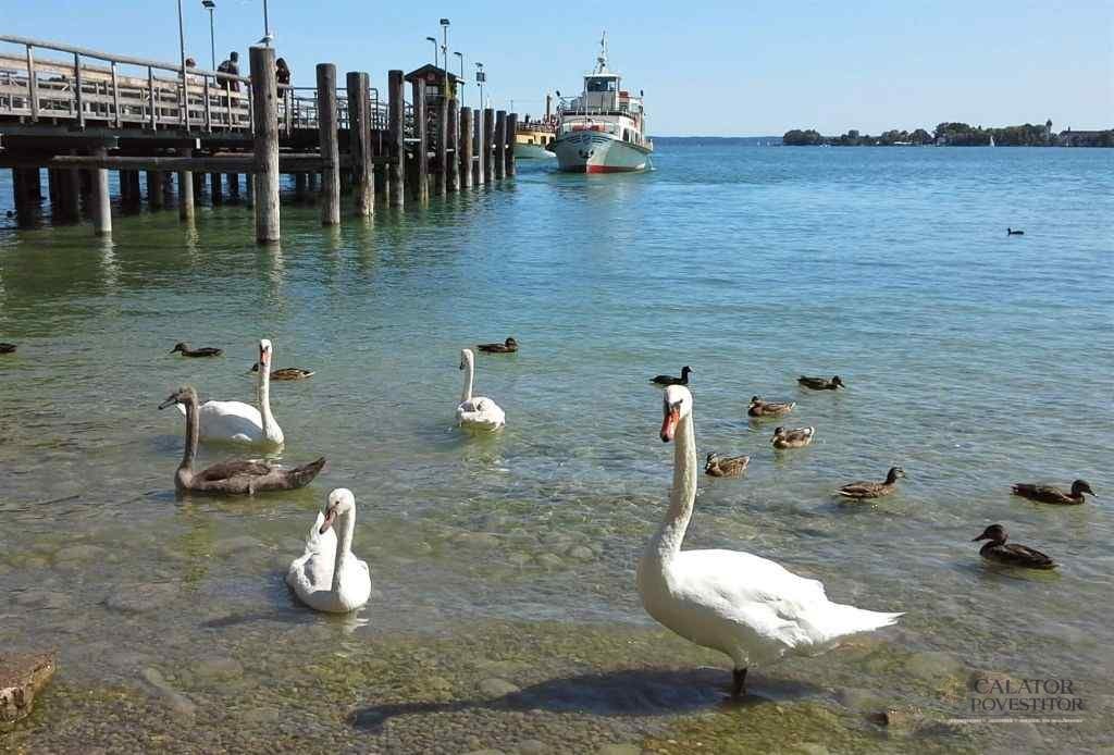 Chiemsee 