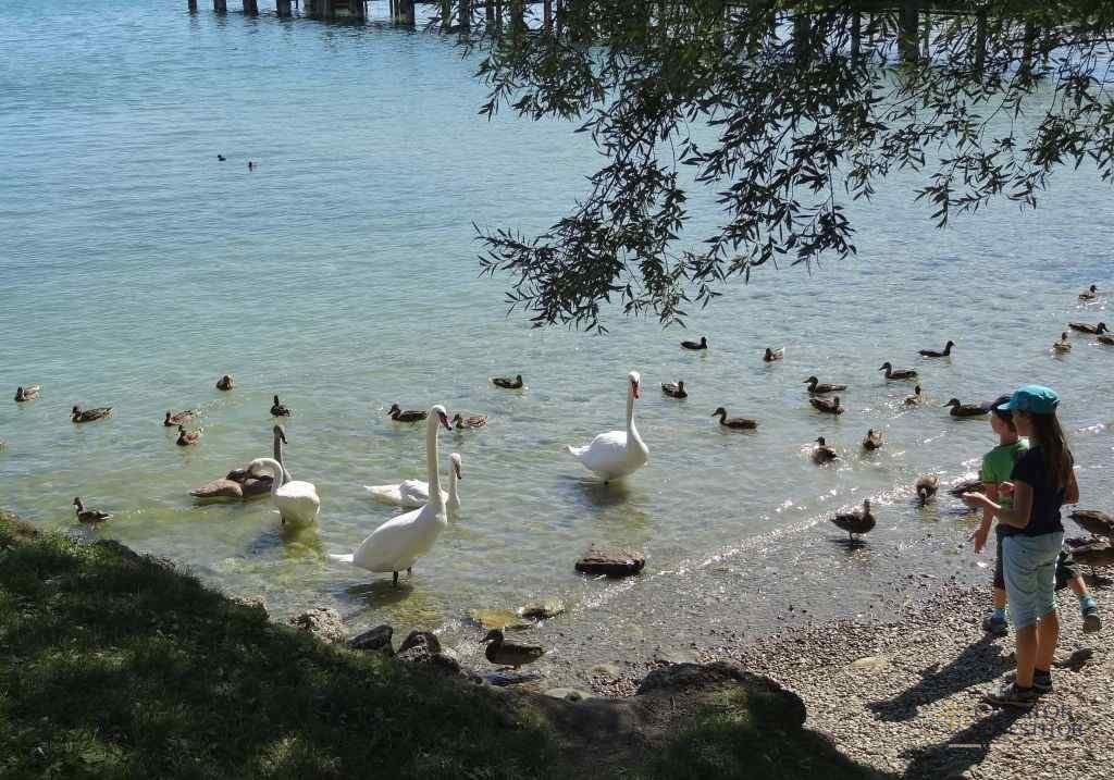 Chiemsee