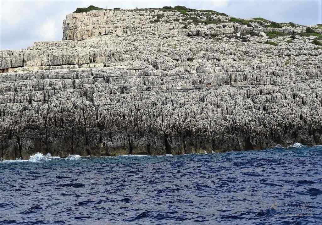 Paxos