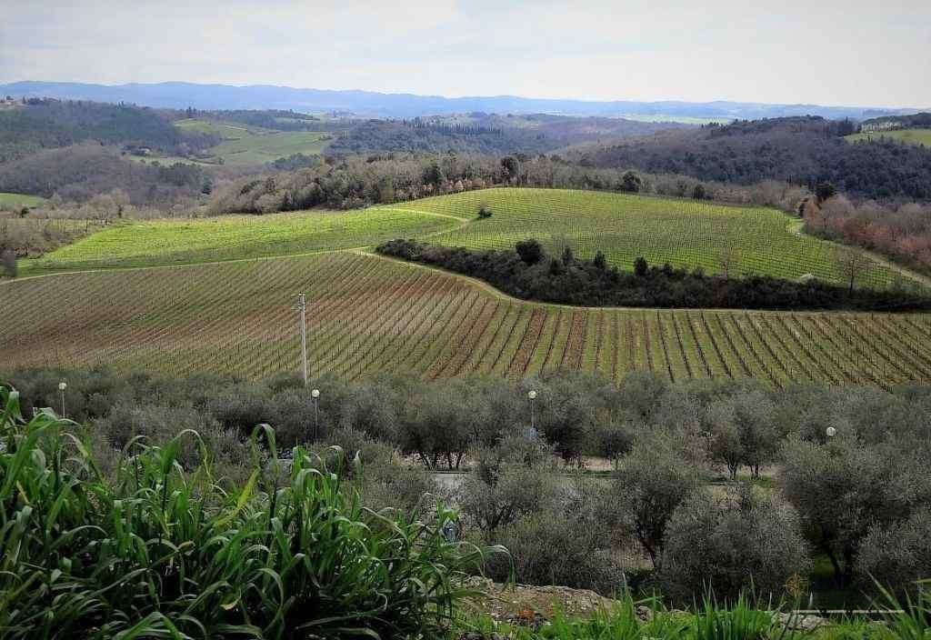 3 orase de vizitat in Toscana