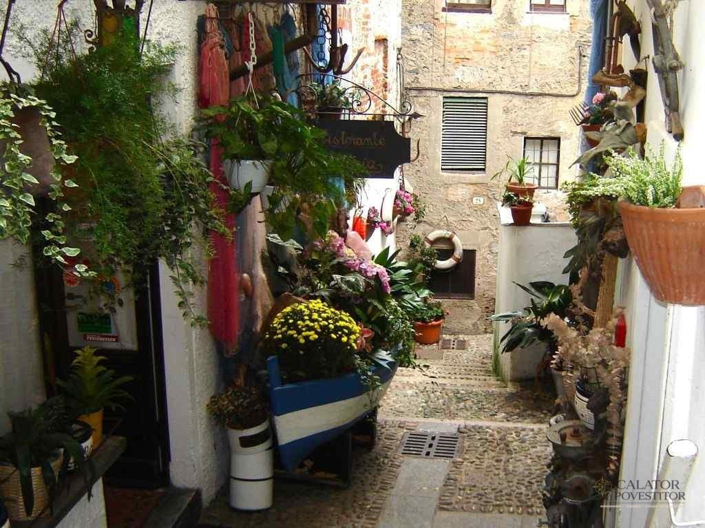 Atractii turistice in jurul lacului Maggiore - Italia