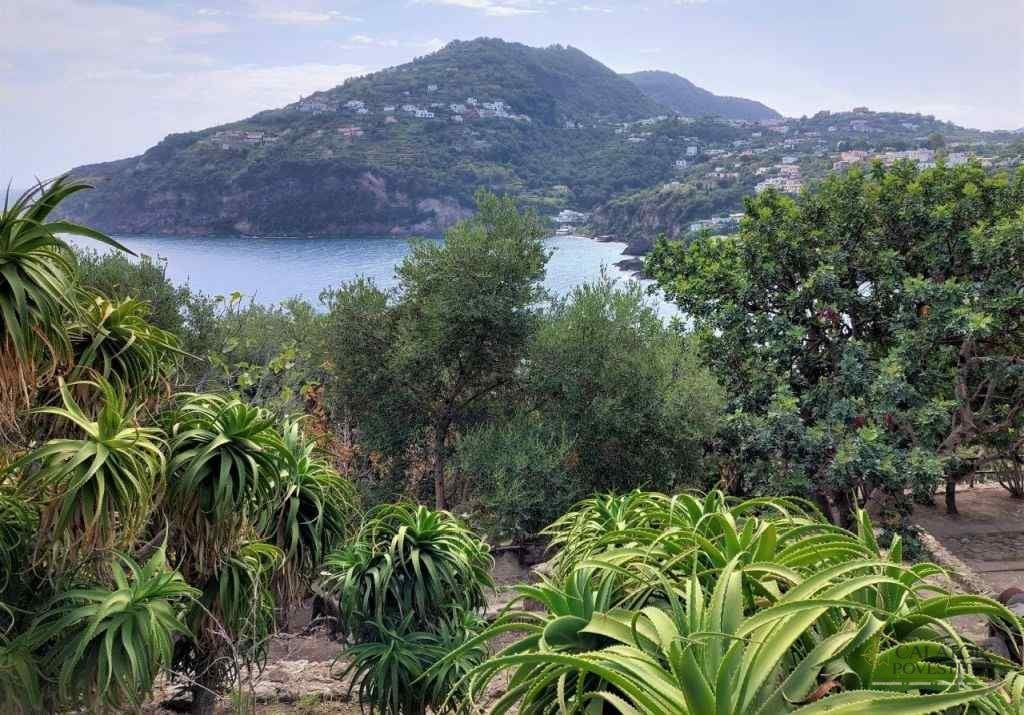 Atractii turistice Ischia, Castello Aragonese